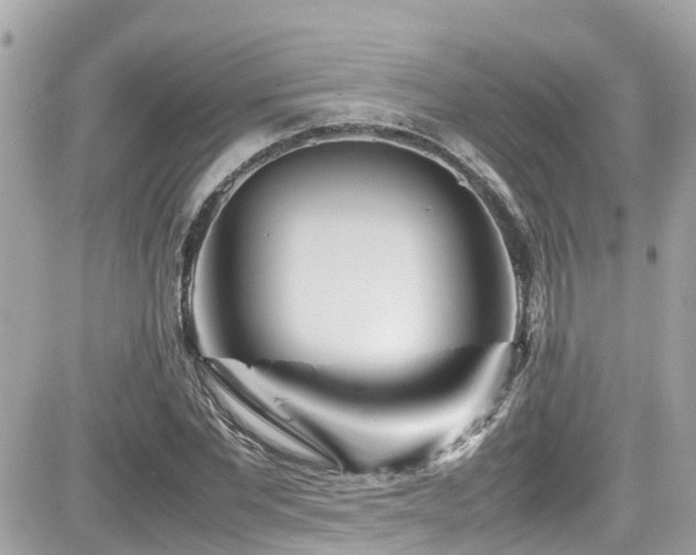 X0000082200877200701191439