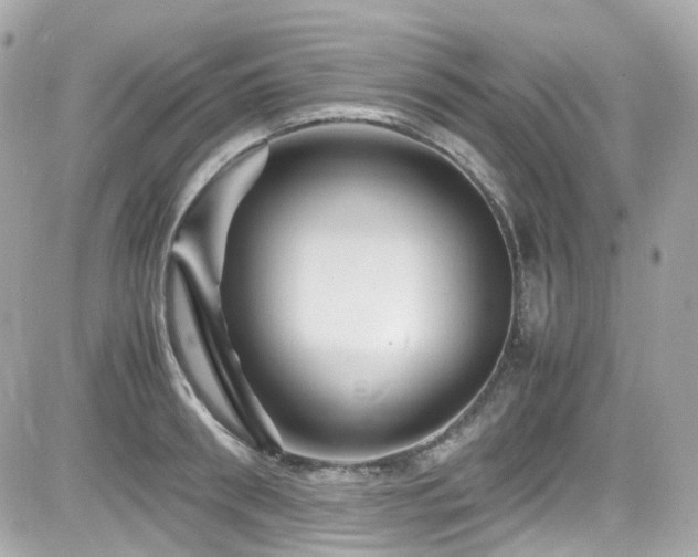 X0000082200898200701191439