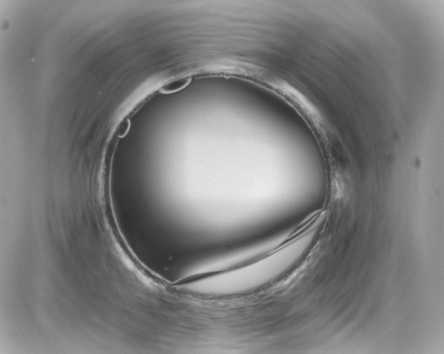 X0000082200902200701191439