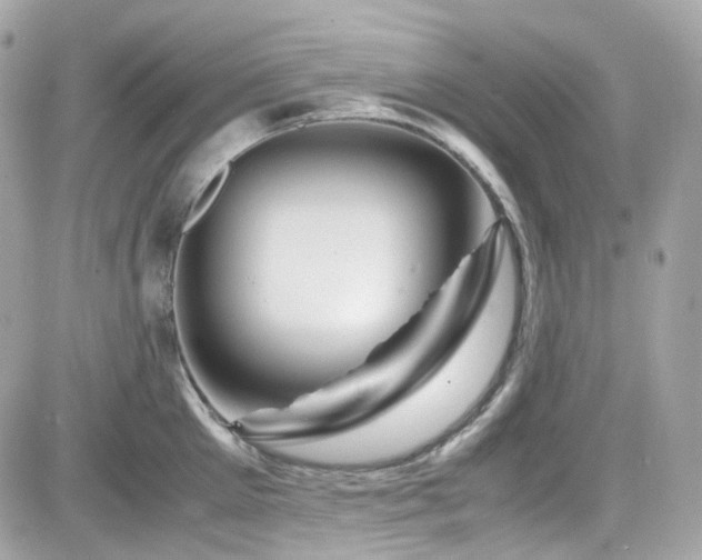 X0000082200905200701191439