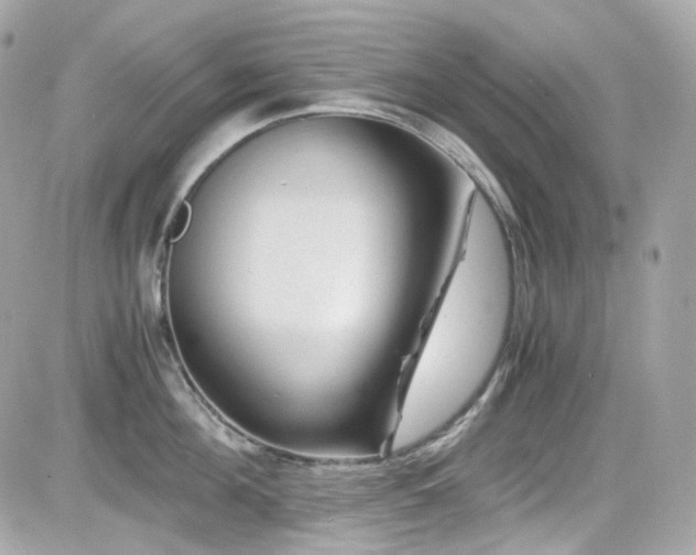 X0000082200908200701191439