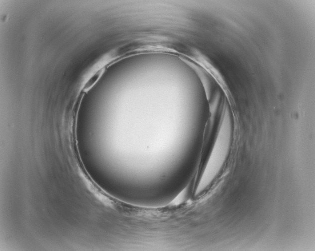 X0000082200909200701191439