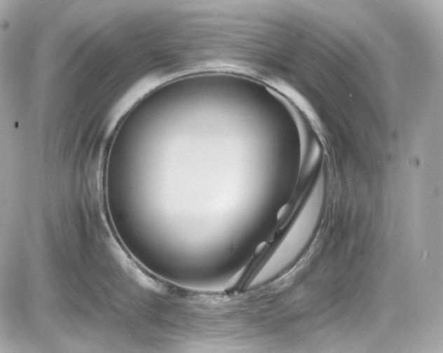 X0000082200910200701191439