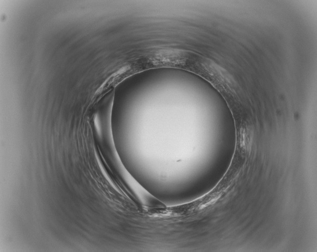 X0000082200915200701191438