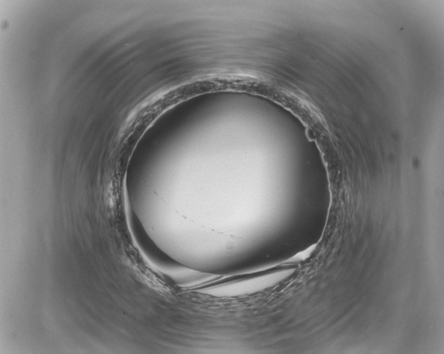 X0000082200920200701191438