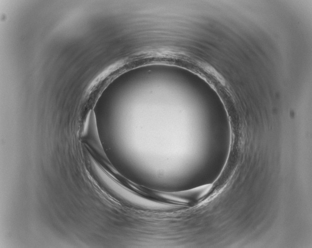 X0000082200922200701191438