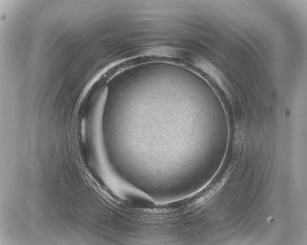 X0000082200923200701191438