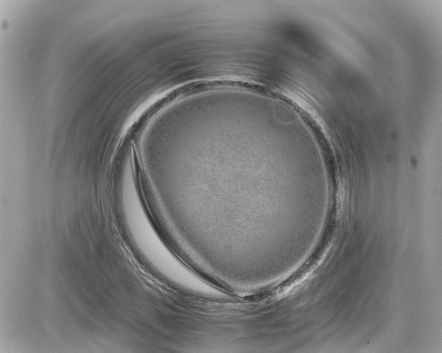 X0000082200925200701191438