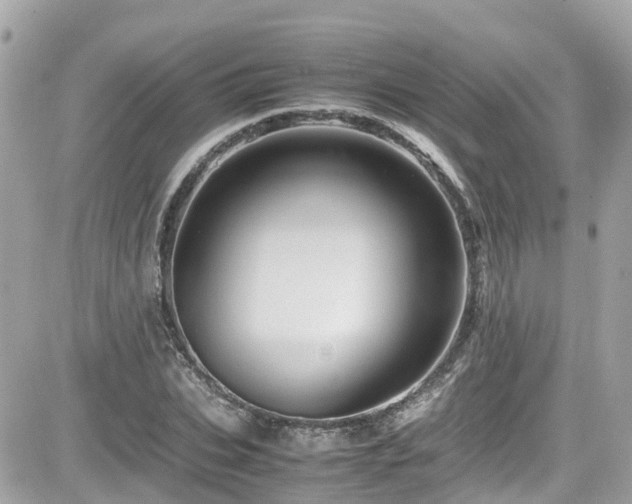 X0000082200927200701191438