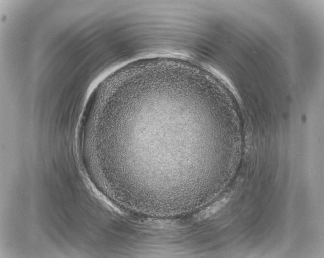 X0000082200928200701191438