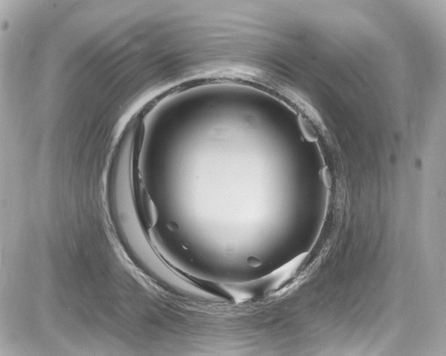 X0000082200936200701191438