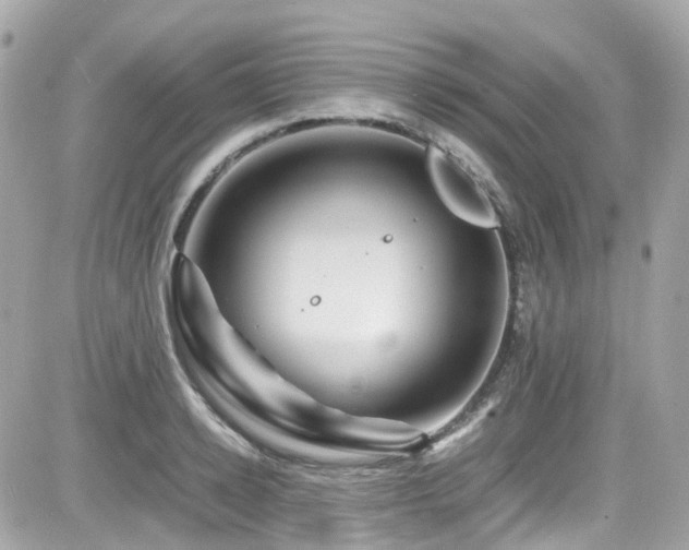 X0000082200942200701191438