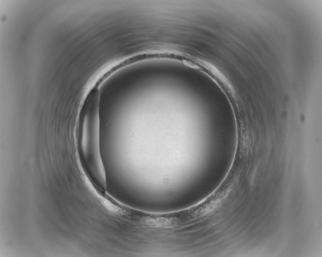 X0000082200943200701191438