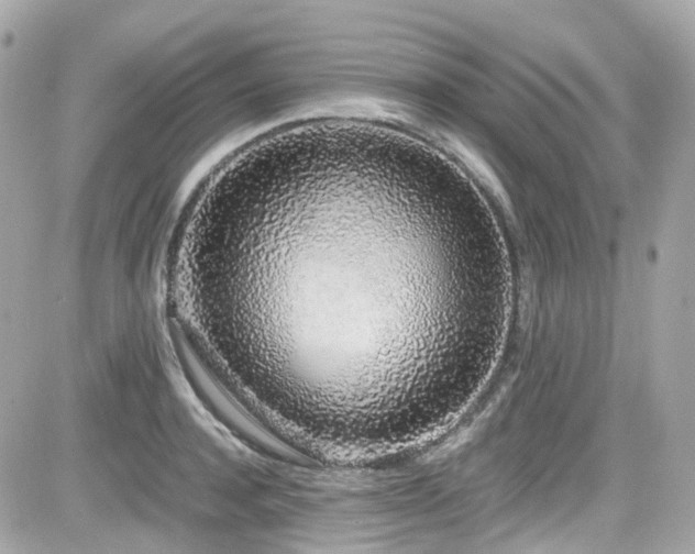 X0000082200944200701191439