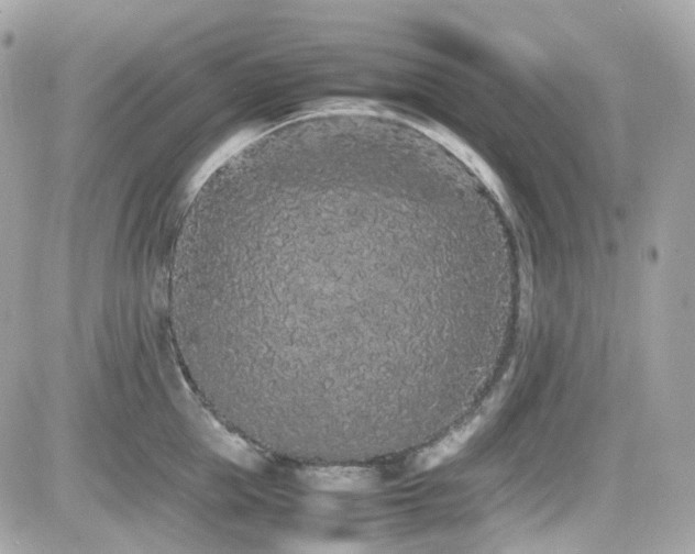 X0000082200953200701191439