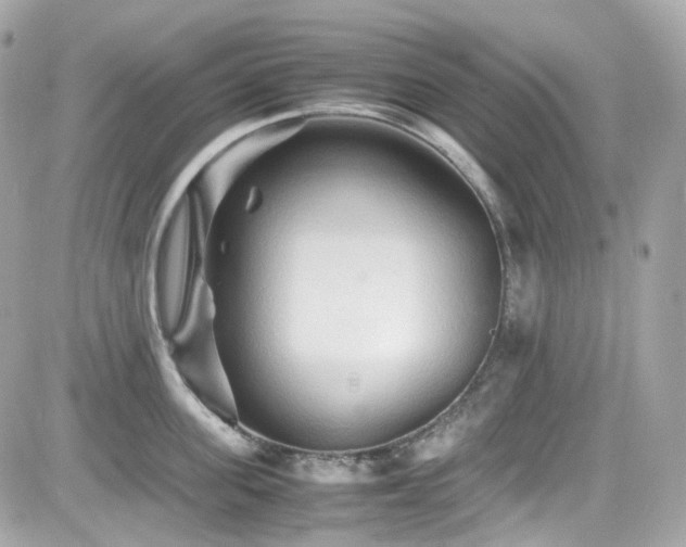 X0000082200955200701191439