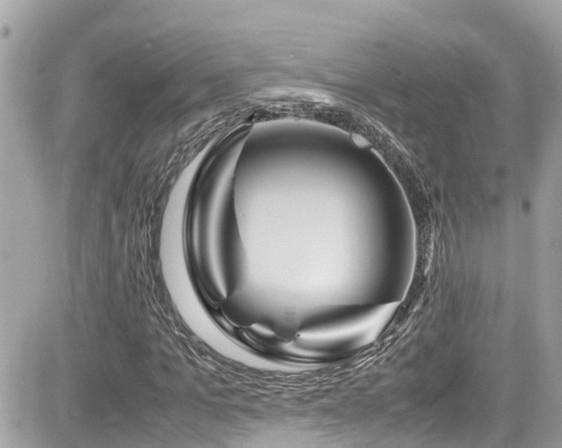 X0000082200965200701191438