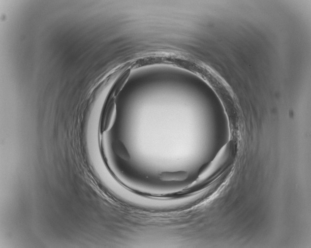 X0000082200969200701191438