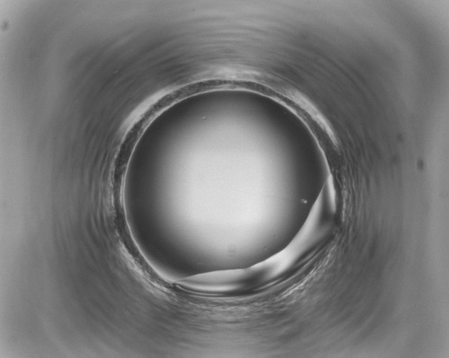 X0000082200972200701191438