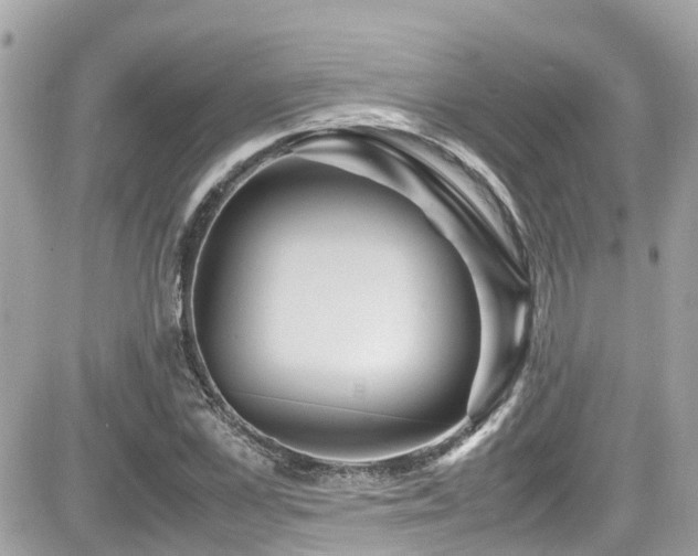X0000082200973200701191438
