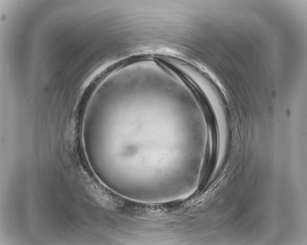 X0000082200975200701191438