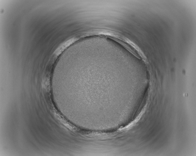 X0000082200977200701191438