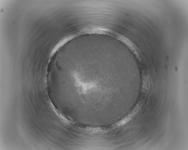 X0000082200978200701191438