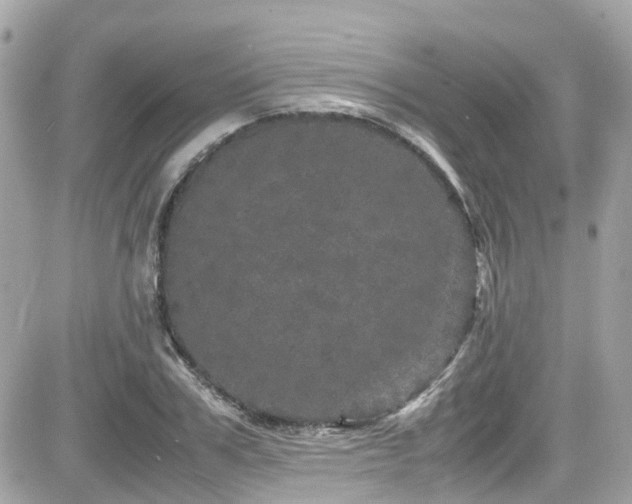 X0000082200979200701191438