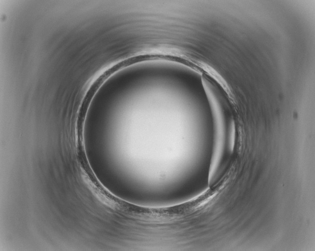 X0000082200980200701191438