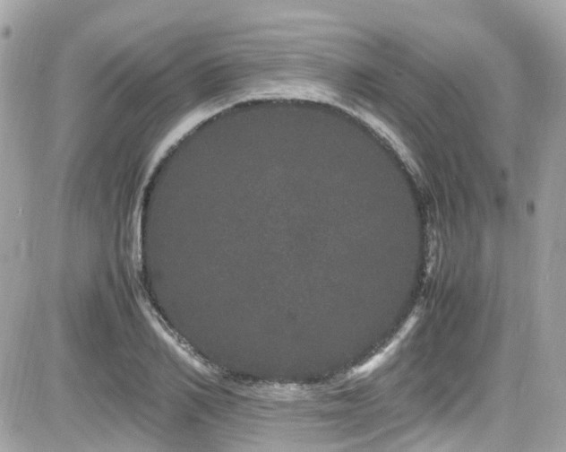 X0000082200982200701191438