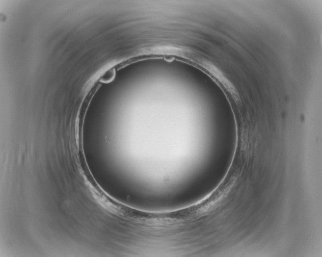 X0000082200988200701191438