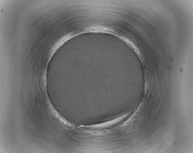 X0000082200990200701191438