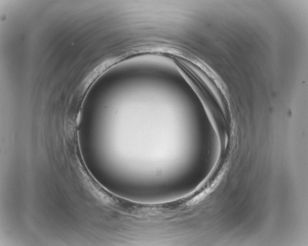 X0000082200993200701191437
