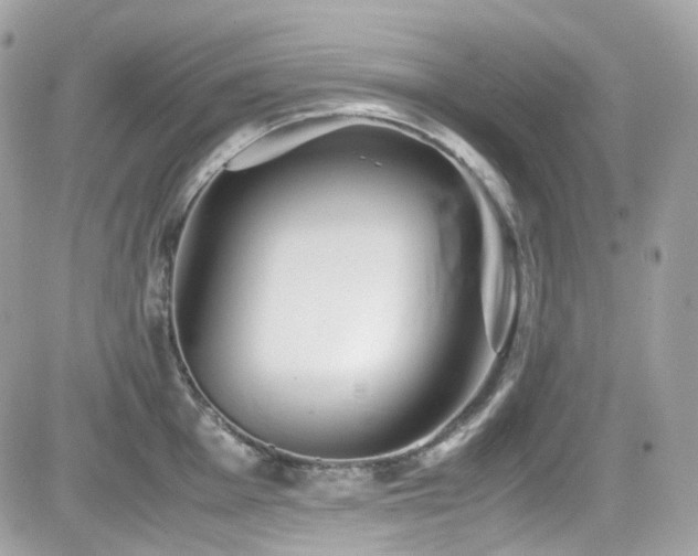 X0000082201001200701191437