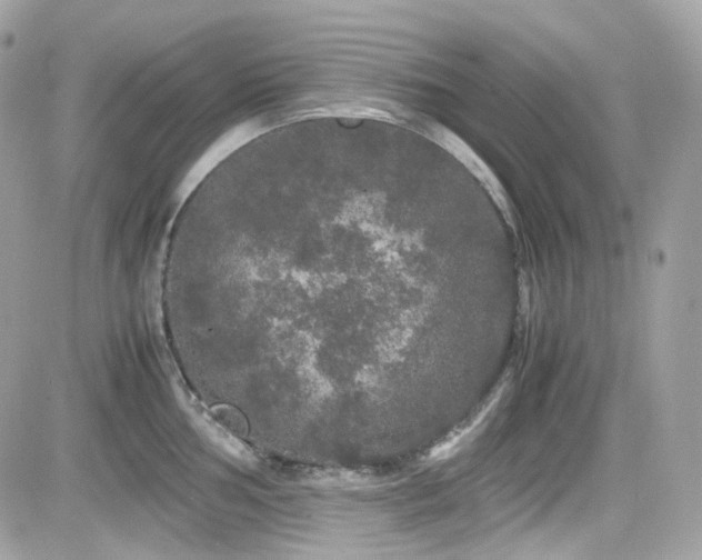 X0000082201002200701191437