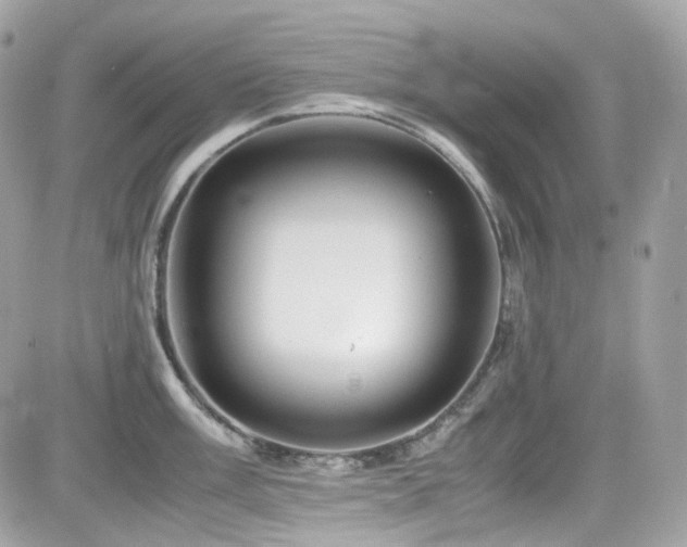 X0000082201003200701191437