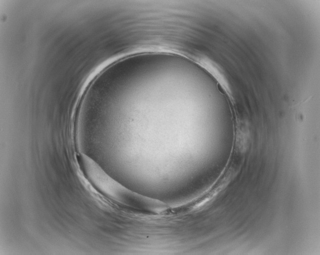 X0000082201004200701191437