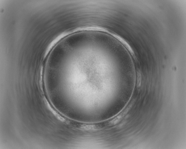 X0000082201006200701191437