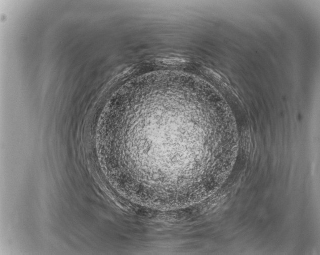 X0000082201009200701191436