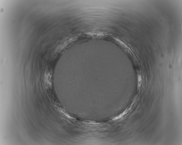 X0000082201010200701191436