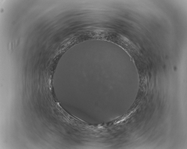 X0000082201013200701191437