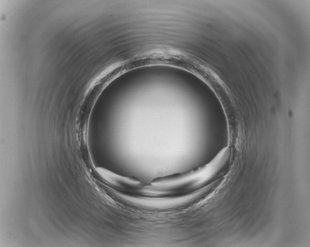X0000082201018200701191437