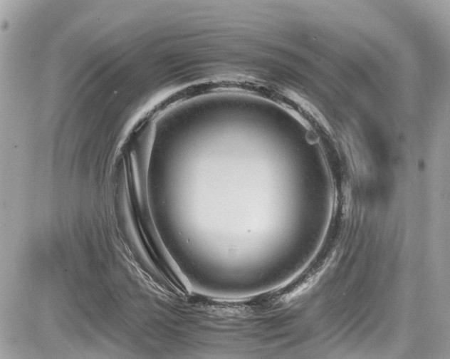 X0000082201021200701191437