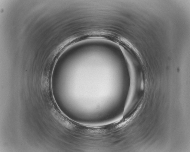 X0000082201025200701191437
