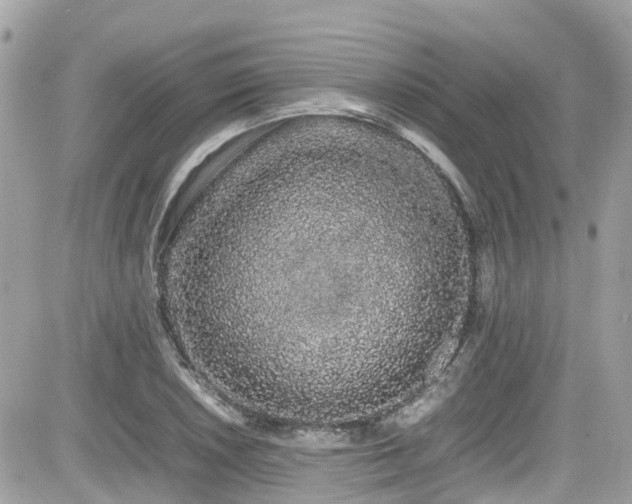 X0000082201026200701191437