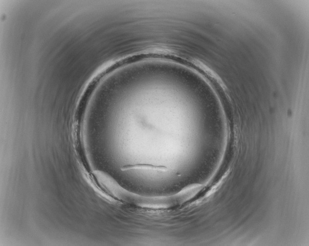 X0000082201029200701191437