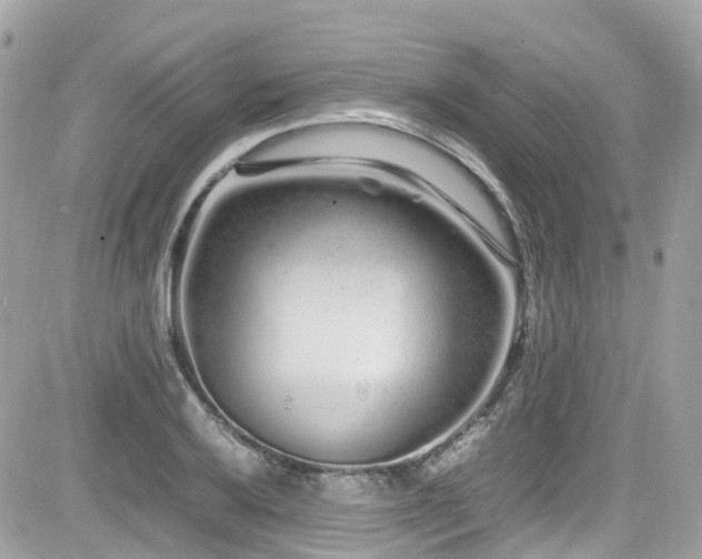 X0000082201032200701191437