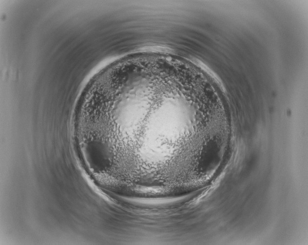 X0000082201037200701191437