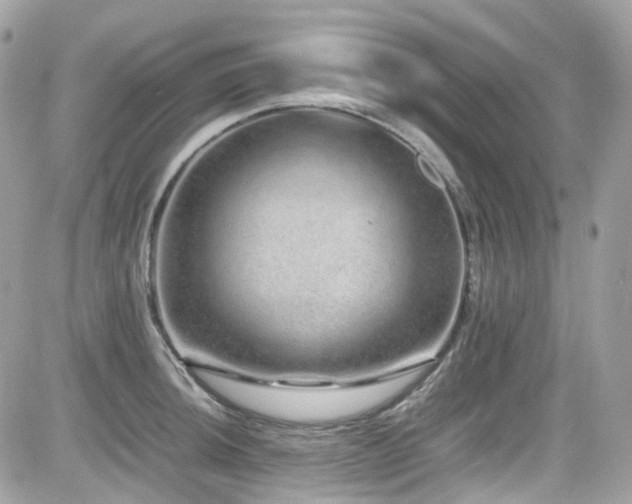 X0000082201044200701191437