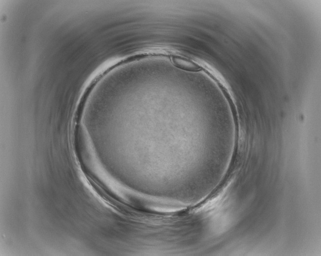 X0000082201045200701191437